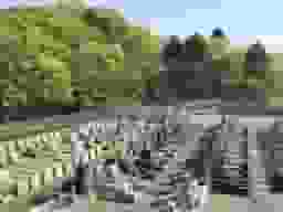 萩霊園