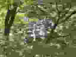 青葉霊苑