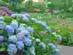 千光寺