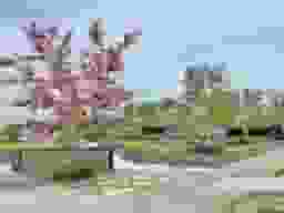 パークフォレスト大阪