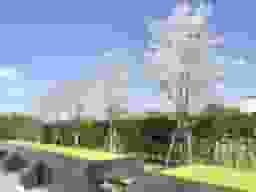 パークフォレスト堺