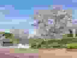 パークフォレスト堺