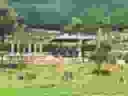 葛城市霊苑
