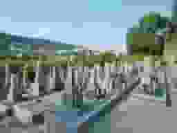 芝・坊島共同墓地