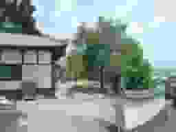 西秦共同墓地
