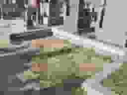 稲葉共同墓地