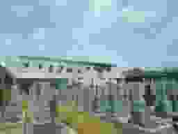 北今在家墓地