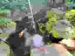 正源寺