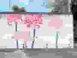 福応寺 のうこつぼ
