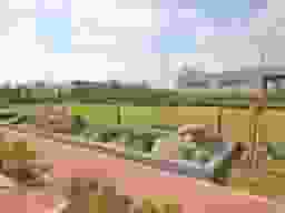 聖地霊園未来