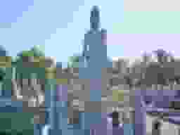 郡共同墓地