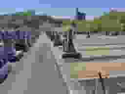 達磨霊園 お墓と広がる空き区画