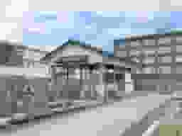渋川墓地