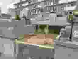 乙木墓地