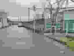 千代田霊園