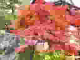 実相寺墓苑