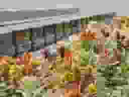 蓮華聖地