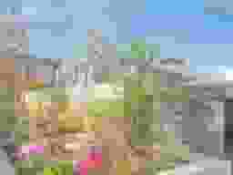 緑あふれる鮮やかな植栽