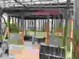 戒法寺
