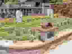 相頓寺墓苑