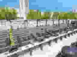 妙楽院