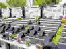 妙楽院