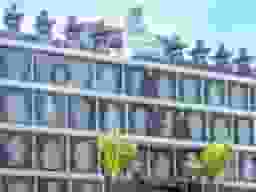 慈光院