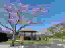 百合ヶ丘霊園霊園風景