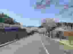 百合ヶ丘霊園園内風景