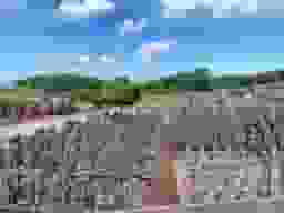 苑内風景