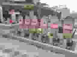 打上墓地