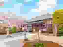 浄林寺
