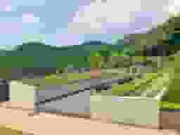 樹木葬区画