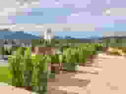 慈愛の丘風景