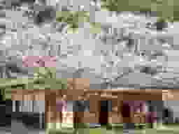 光明寺墓地