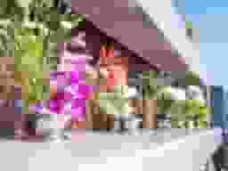 證大寺