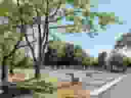 墓域
