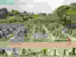 墓域