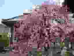 祐正寺