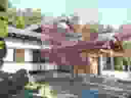 普門寺