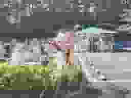 武蔵ヶ丘霊園