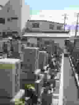 横堤墓地