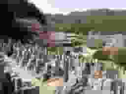往生院