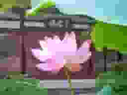 了光院墓苑