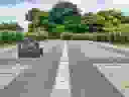 中央参道です。