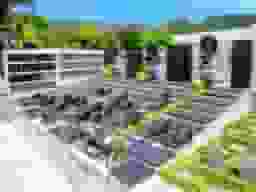 法華寺