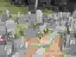 真光寺