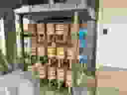 真光寺