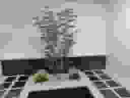 観世音陵苑はなみずき