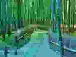 報国寺